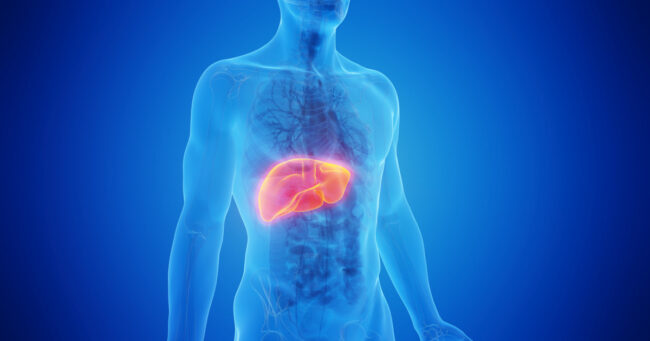 Liver-heart disease OG image – 1200x630px