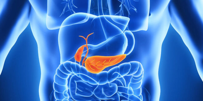 Pancreatic picture – 1024x510px